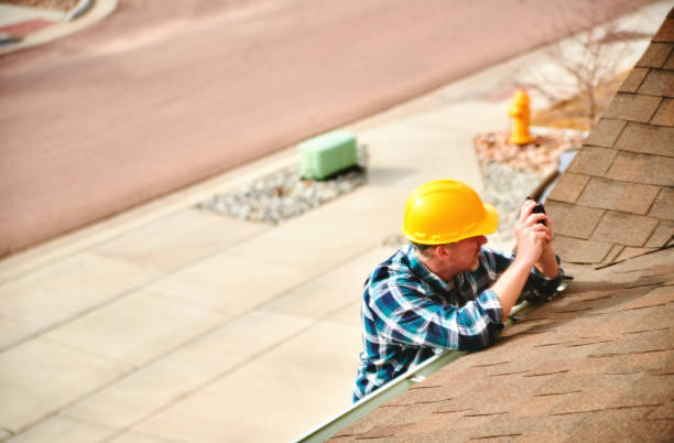 Best Storm Damage Roof Repair  in Stapleton, AL